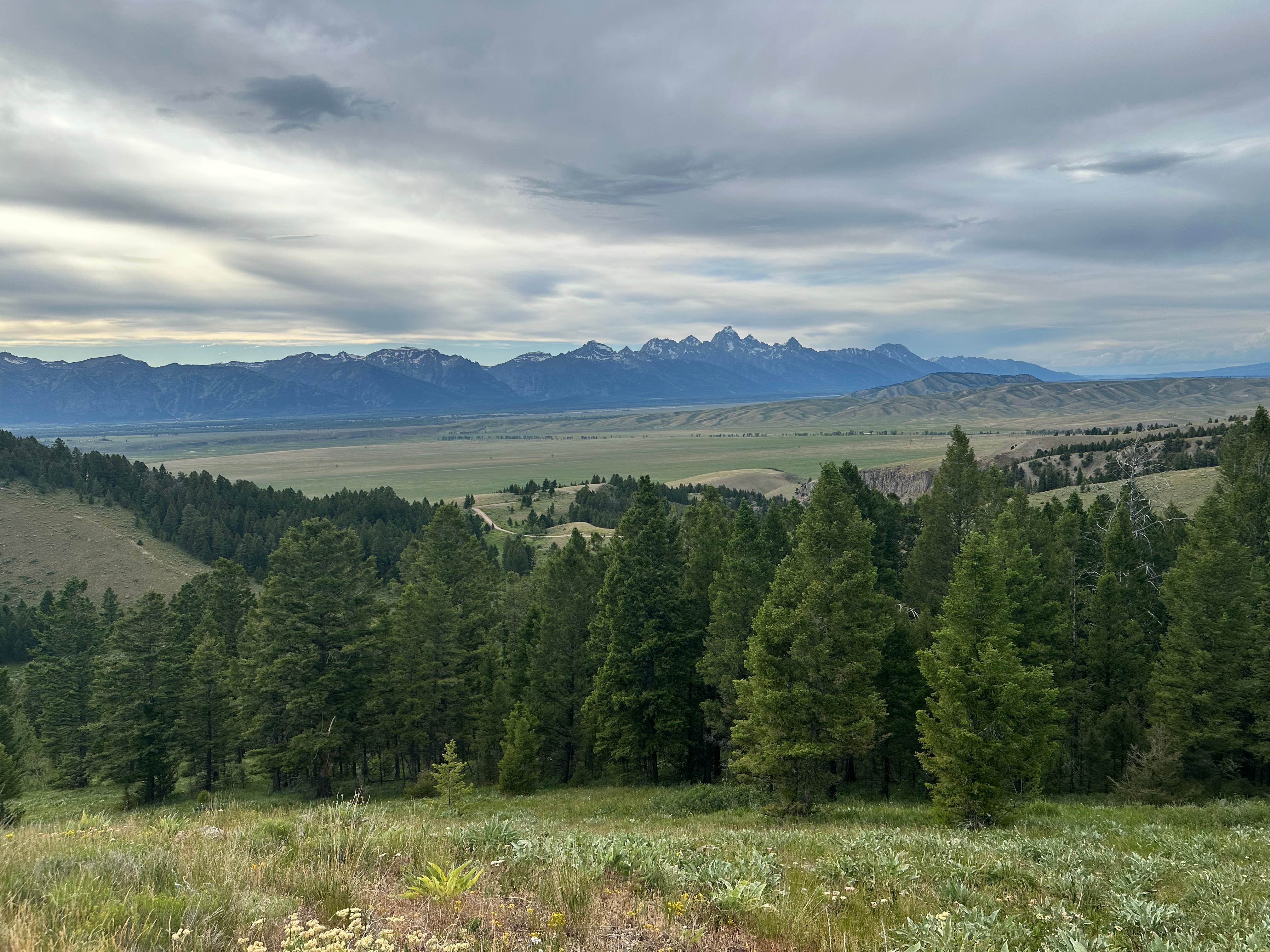 Camper-submitted photo at Curtis Canyon Dispersed Camping near Teton Village, WY
