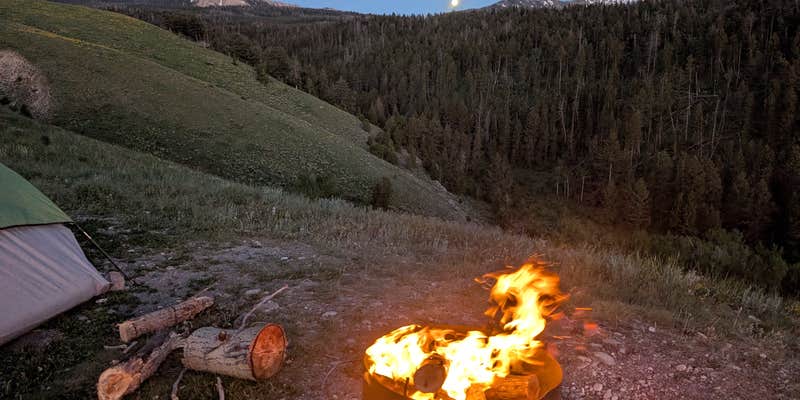 Camper submitted image from Curtis Canyon Dispersed Camping