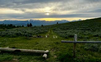 Taylor S.'s photo of a dispersed camping area at Curtis Canyon Dispersed Camping near Jackson, WY