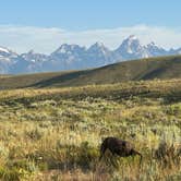 Review photo of Curtis Canyon Dispersed Camping by Jeff P., July 2, 2025