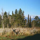 Review photo of Curtis Canyon Dispersed Camping by Anna B., September 8, 2024