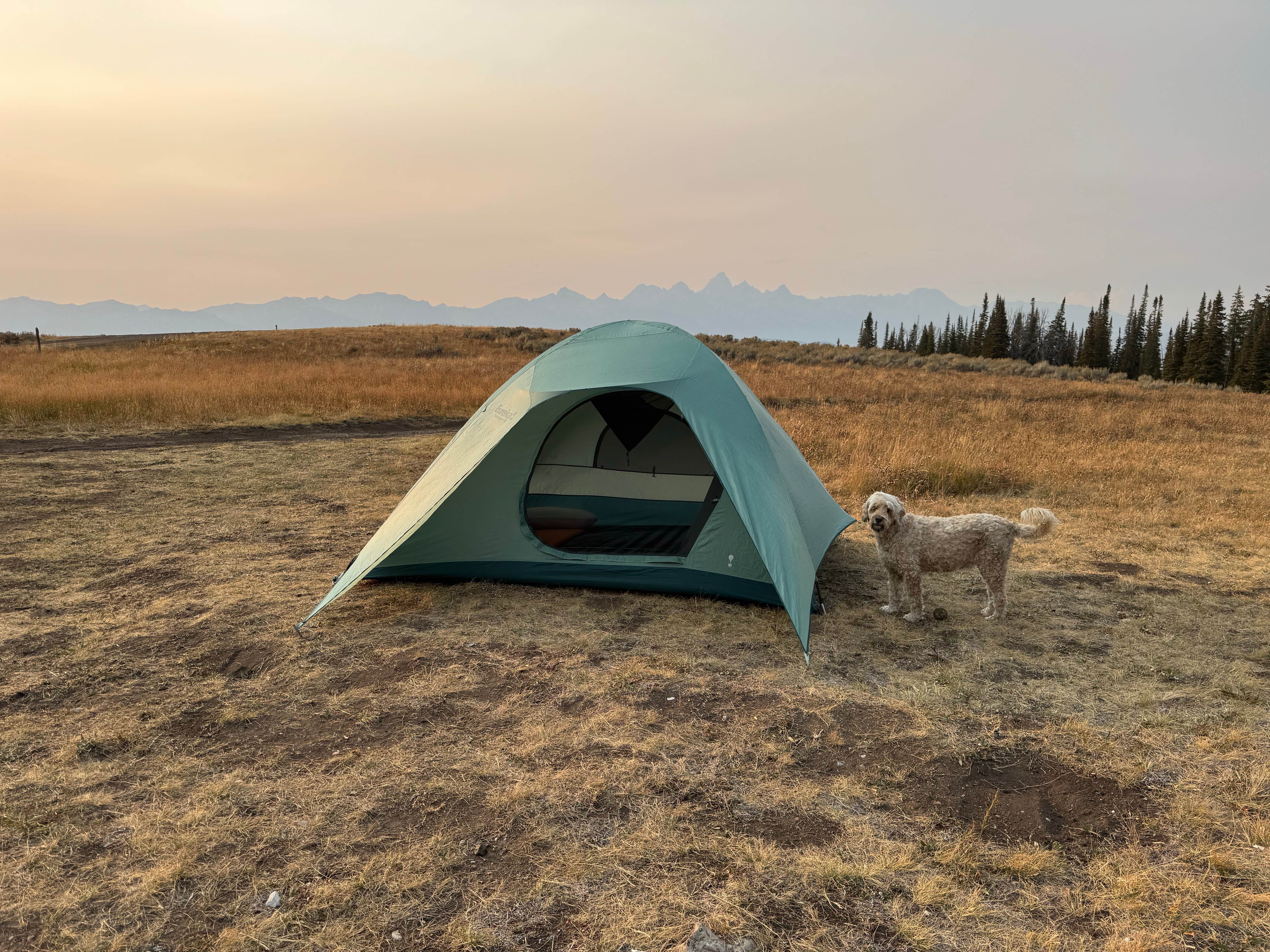 Ross F.'s photo of camping with pets at Curtis Canyon Dispersed Camping near Jackson, WY