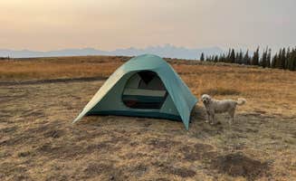 Ross F.'s photo of camping with pets at Curtis Canyon Dispersed Camping near Bridger-Teton National Forest