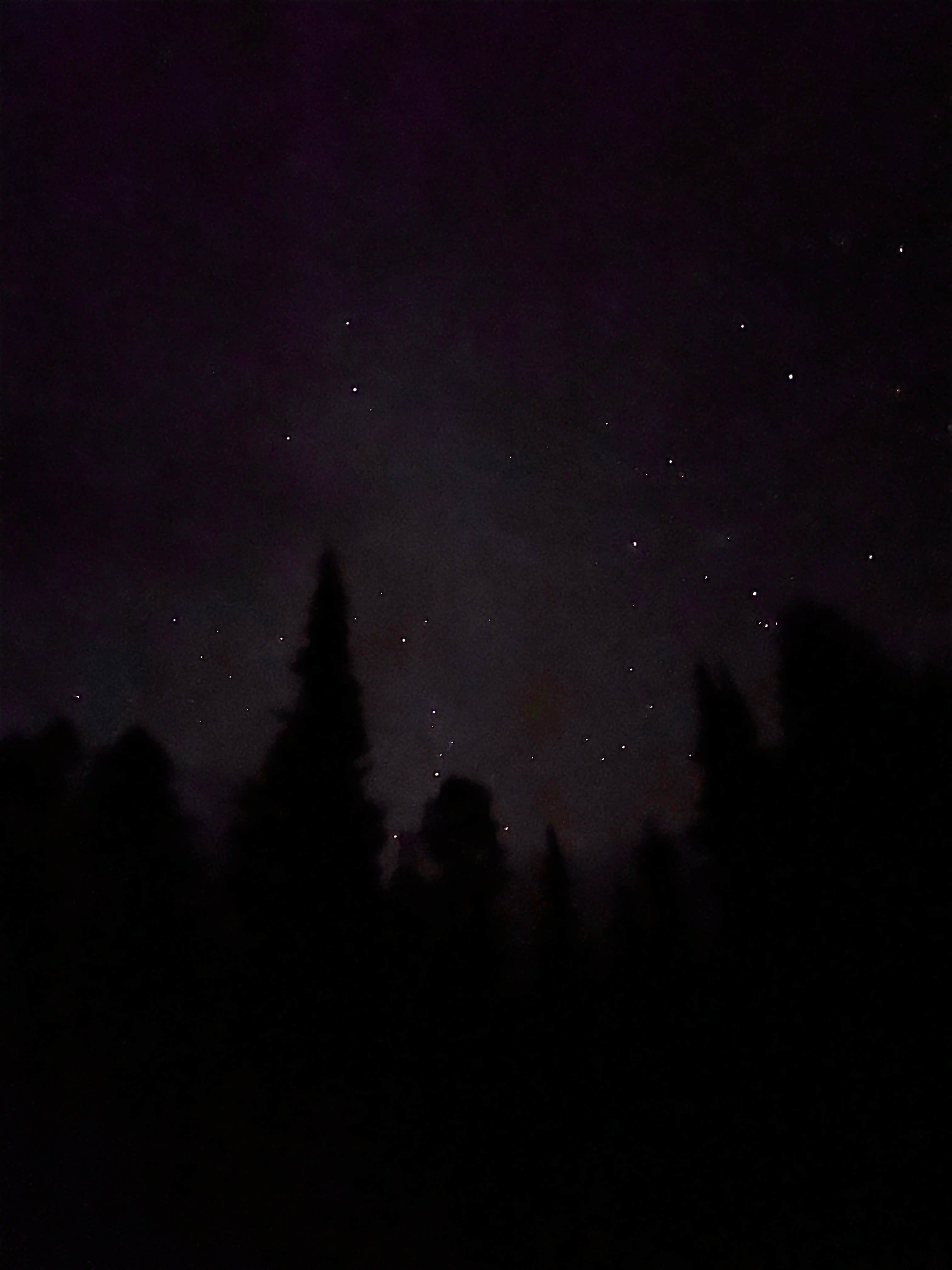 Anna B.'s photo of a dispersed camping area at Curtis Canyon Dispersed Camping near Wilson, WY