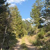Review photo of Curtis Canyon Dispersed Camping by Lani B., August 11, 2026
