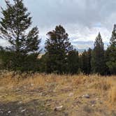 Review photo of Curtis Canyon Dispersed Camping by TF , September 13, 2025