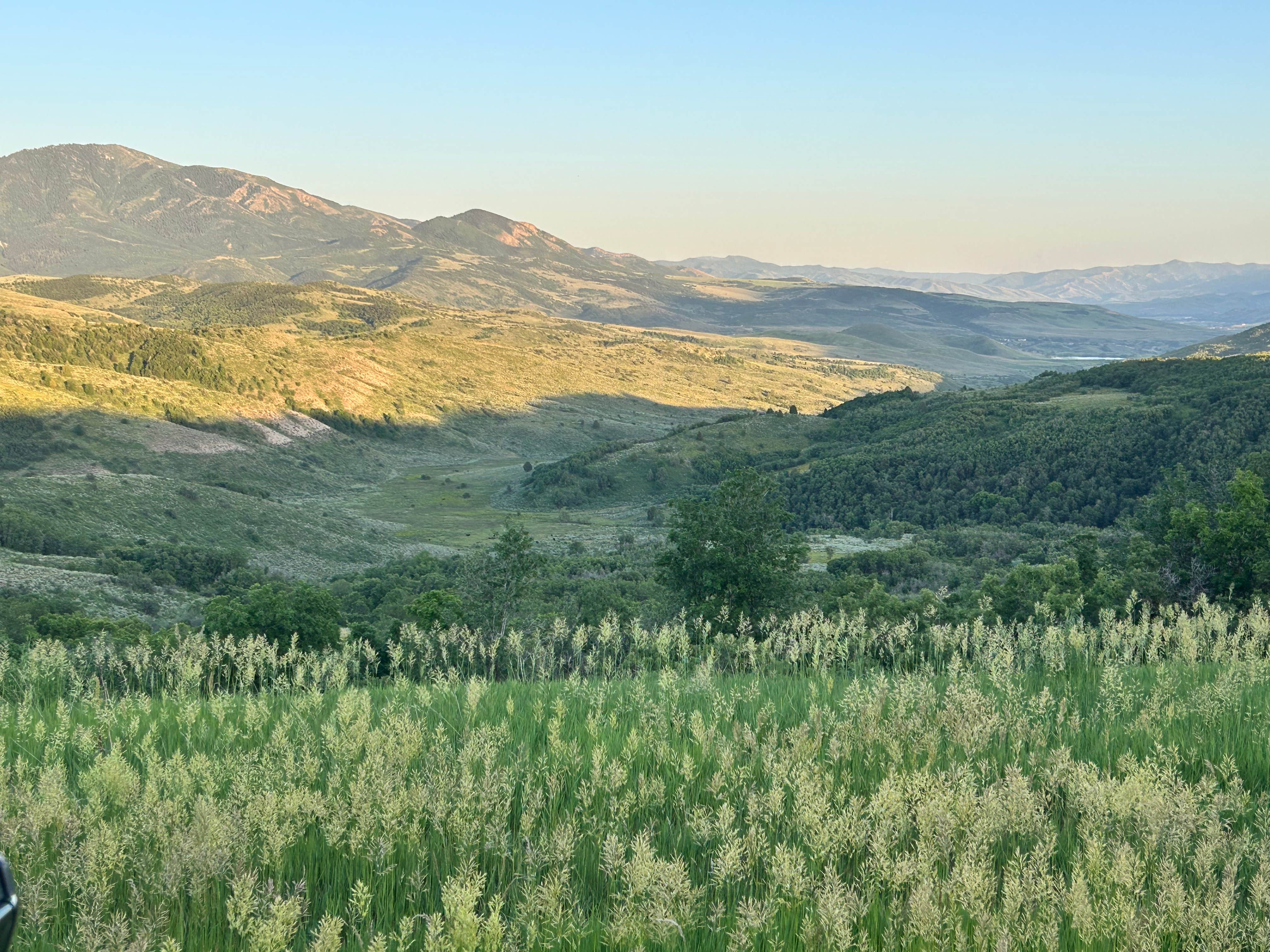 Camper-submitted photo at Curtis Creek / Arbs Basin near Paradise, UT