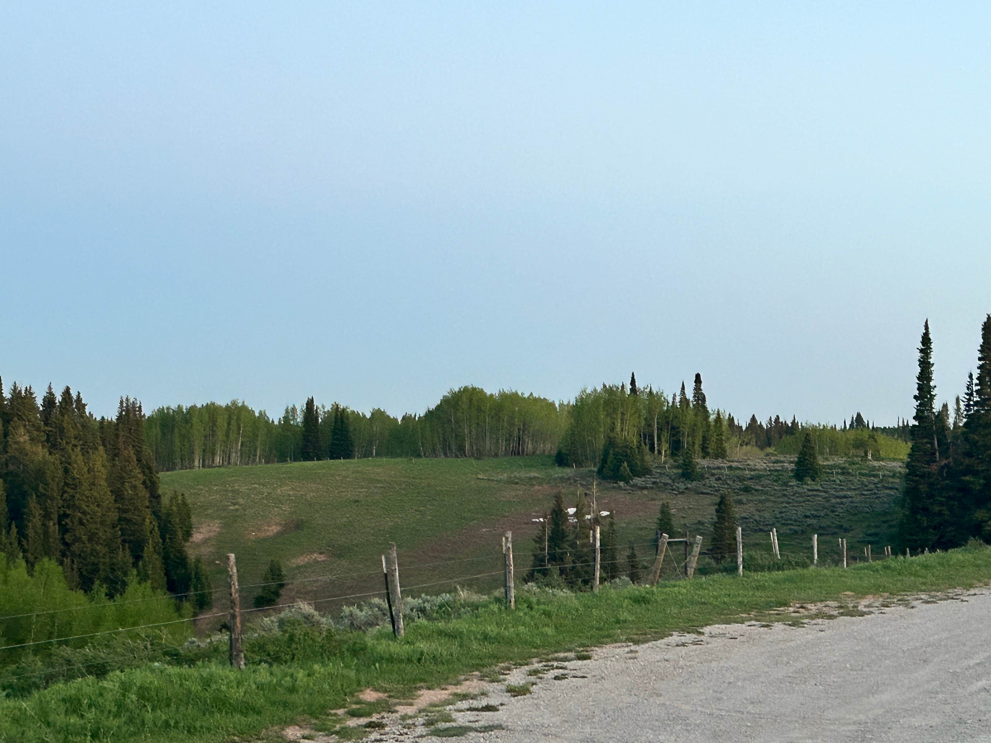 Camper-submitted photo at Curtis Creek / Arbs Basin near Paradise, UT