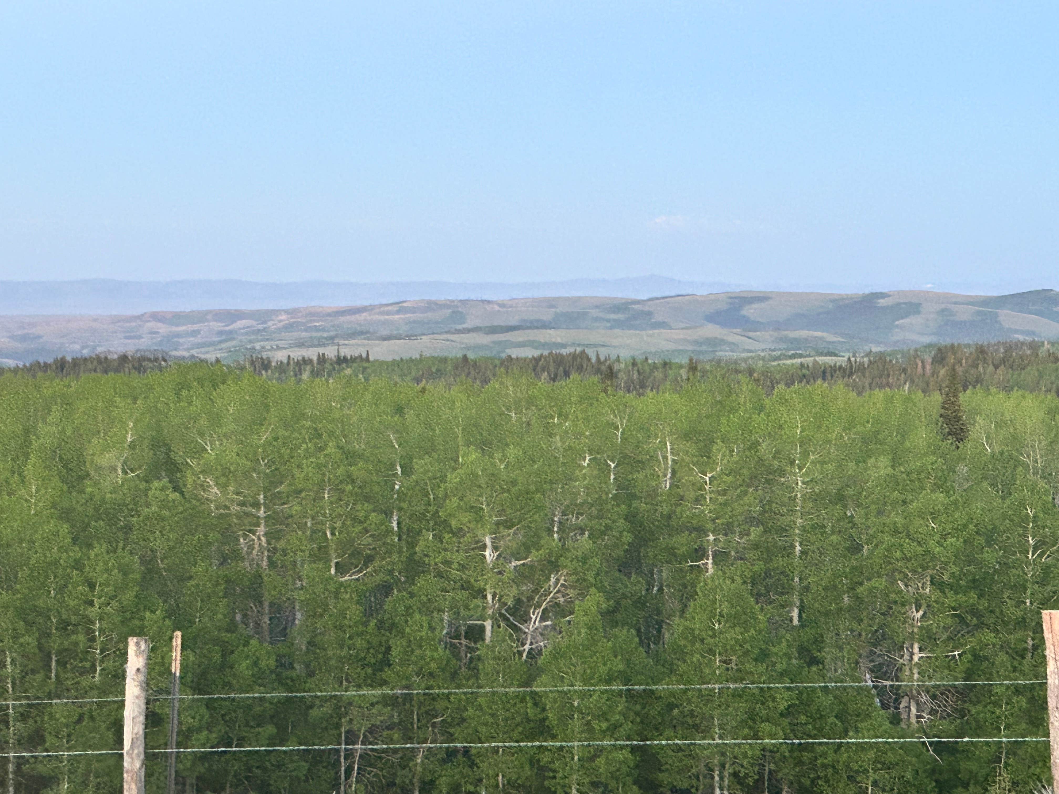 Camper-submitted photo at Curtis Creek / Arbs Basin near Paradise, UT