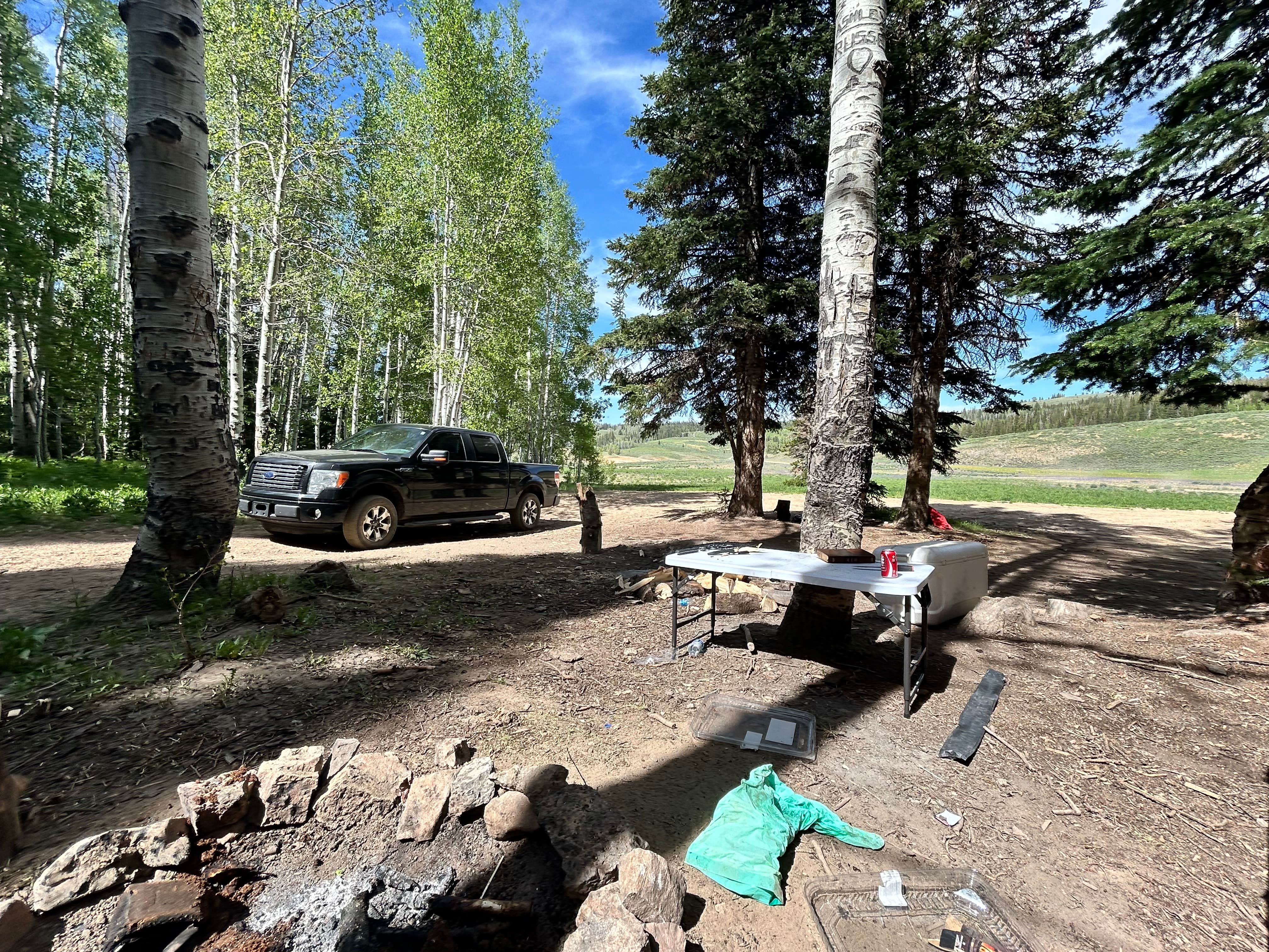 Camper submitted image from Curtis Creek / Arbs Basin - 5