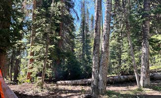 John C.'s photo at Curtis Creek / Arbs Basin near Evanston, WY