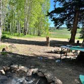 Review photo of Curtis Creek / Arbs Basin by John C., June 15, 2025
