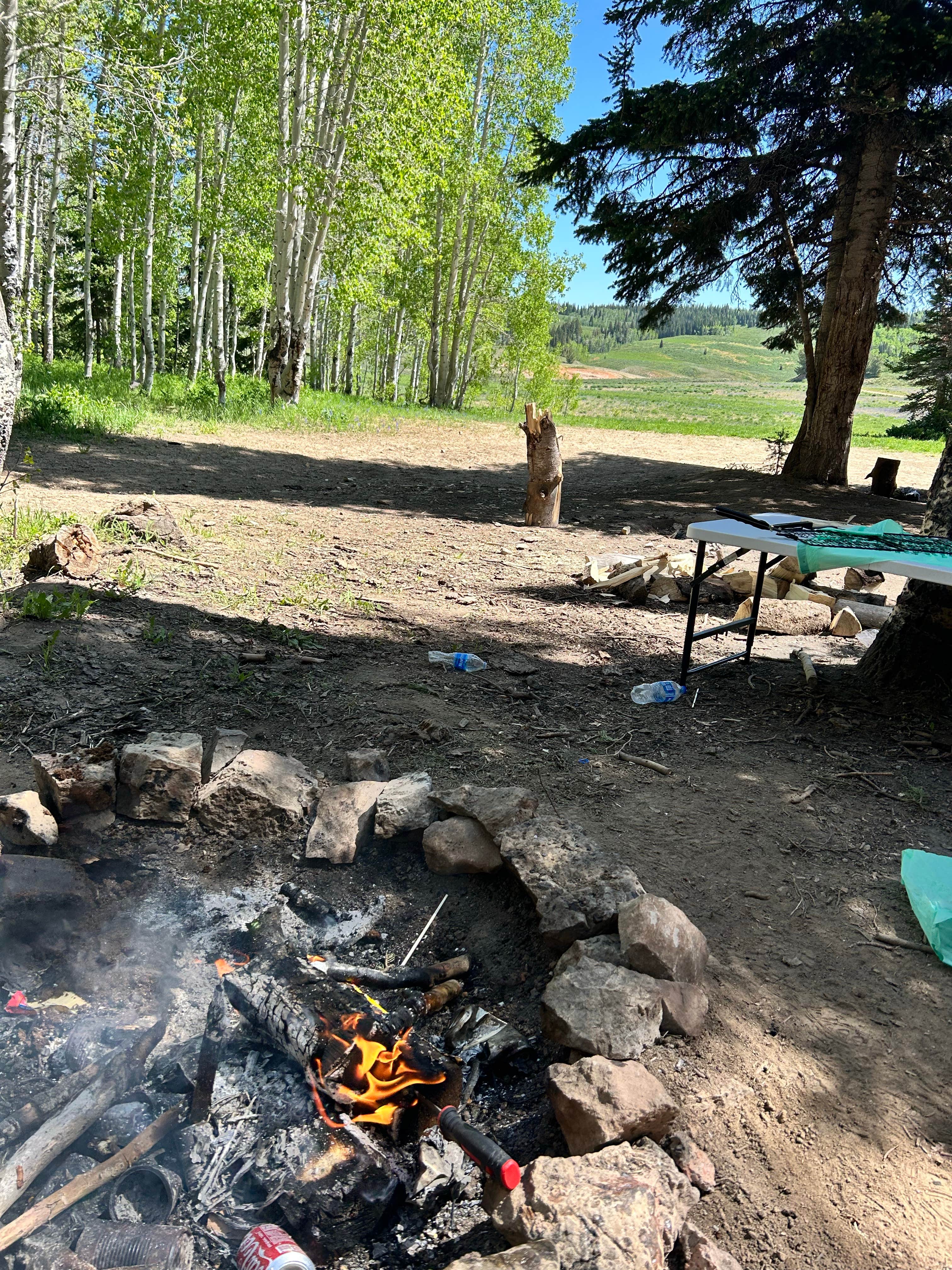 Camper submitted image from Curtis Creek / Arbs Basin - 1