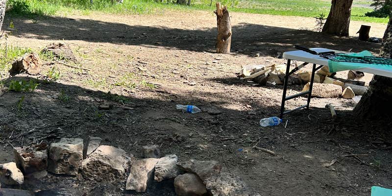 Camper submitted image from Curtis Creek / Arbs Basin