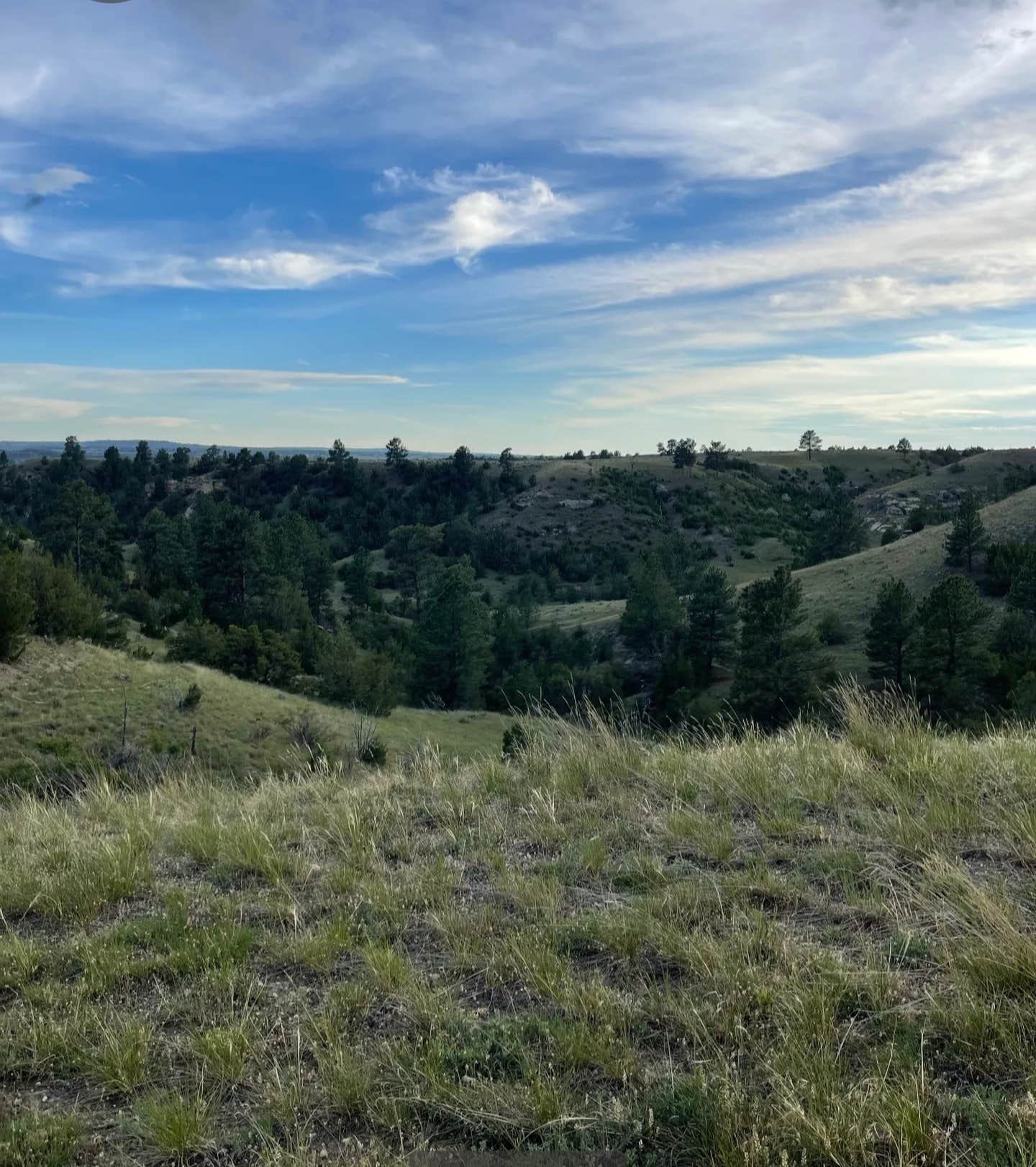 Camper-submitted photo at Custer BLM near Hardin, MT