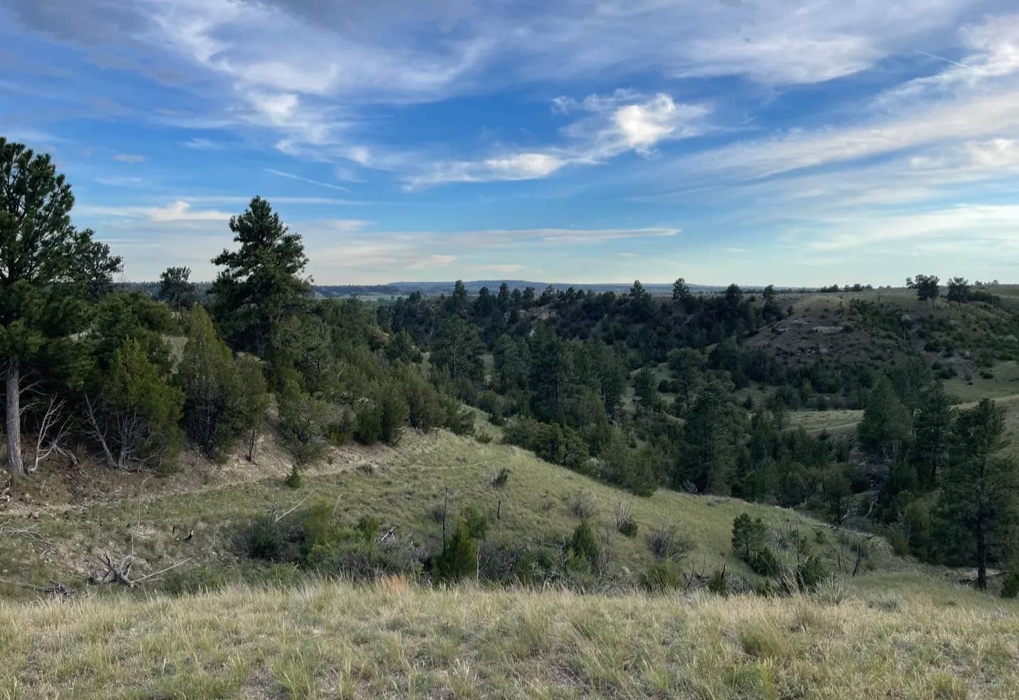 Camper-submitted photo at Custer BLM near Hardin, MT