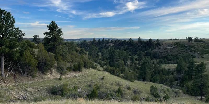Camper submitted image from Custer BLM