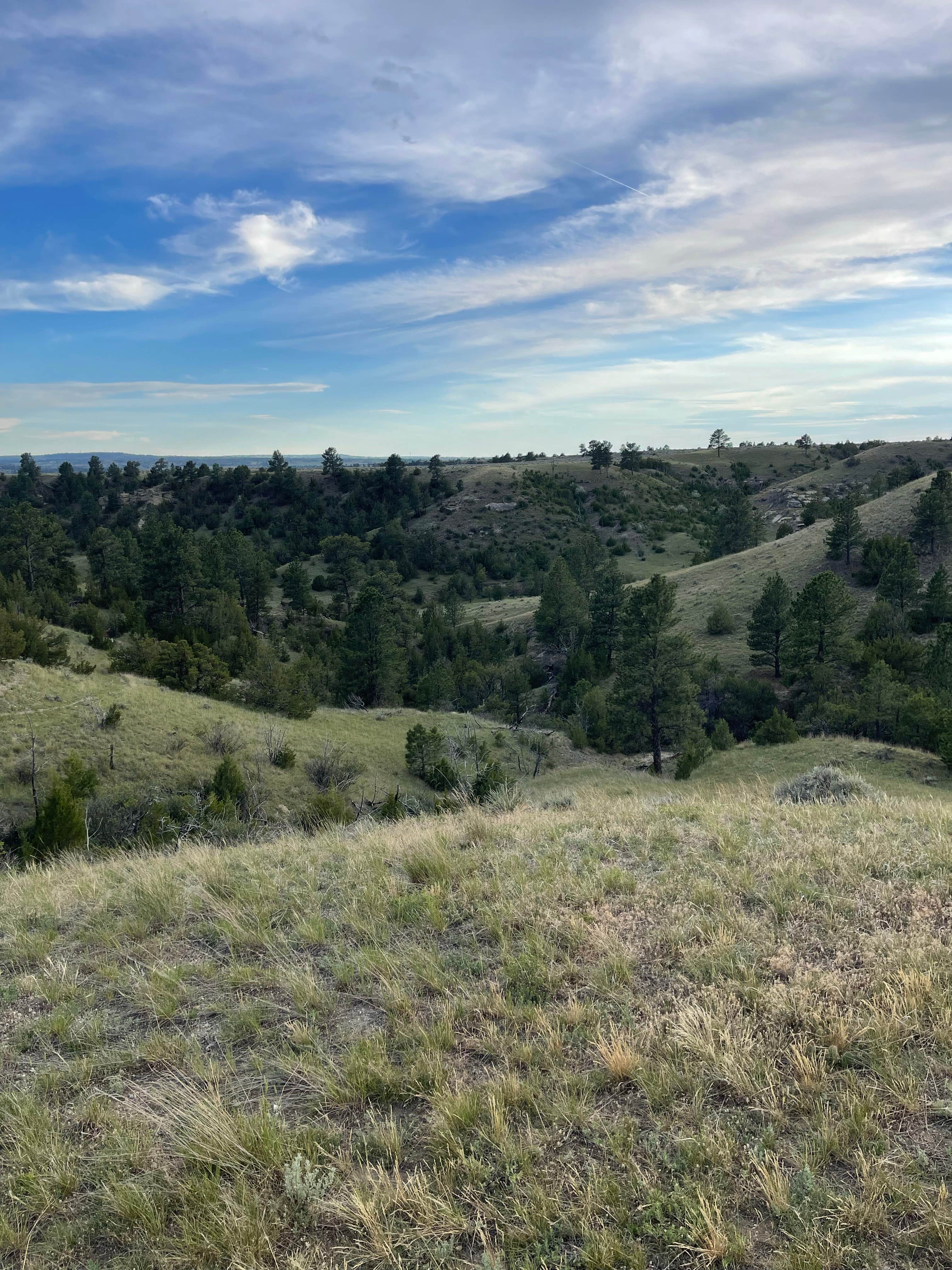 Camper-submitted photo at Custer BLM near Garryowen, MT