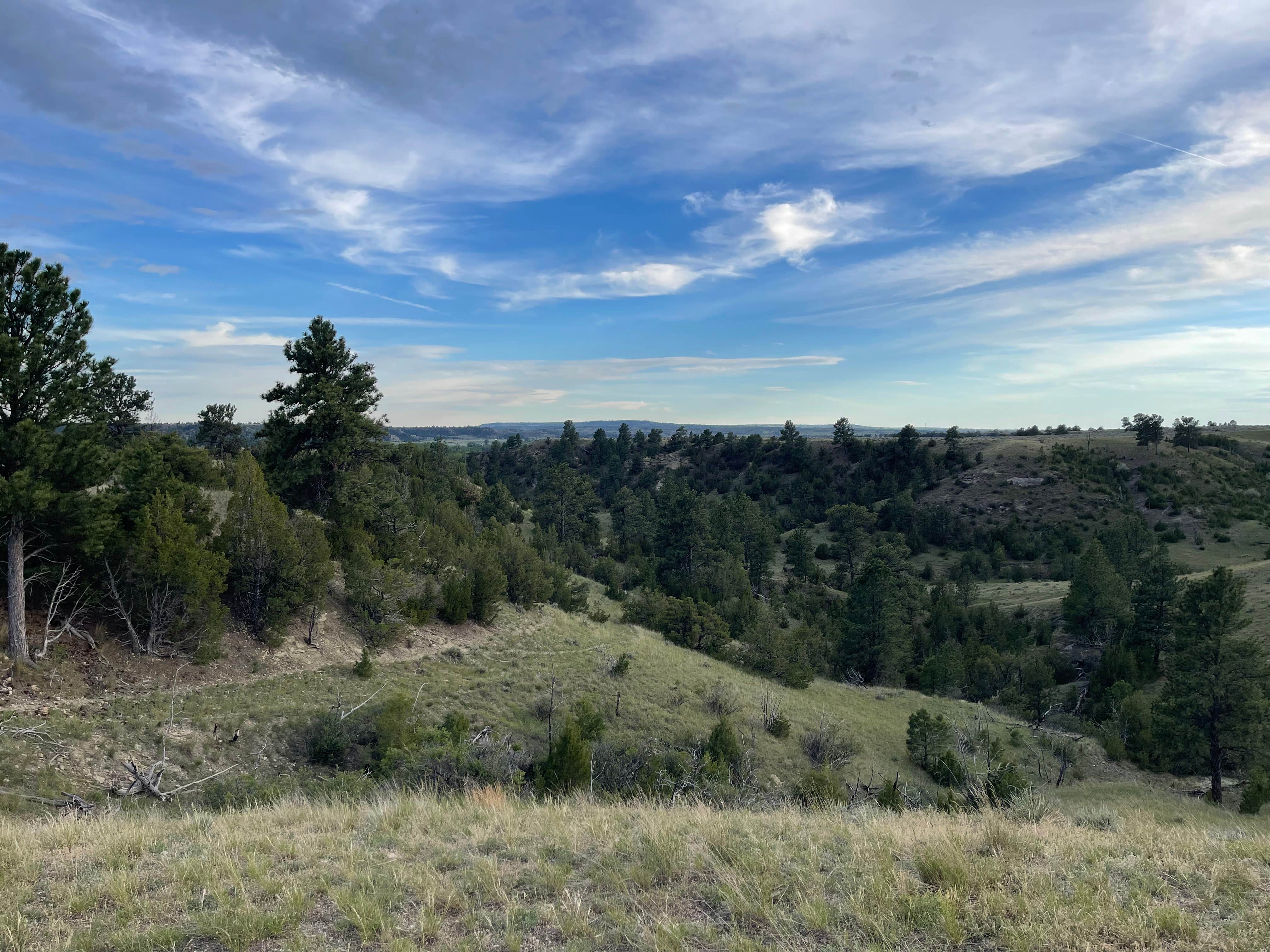 Custer BLM