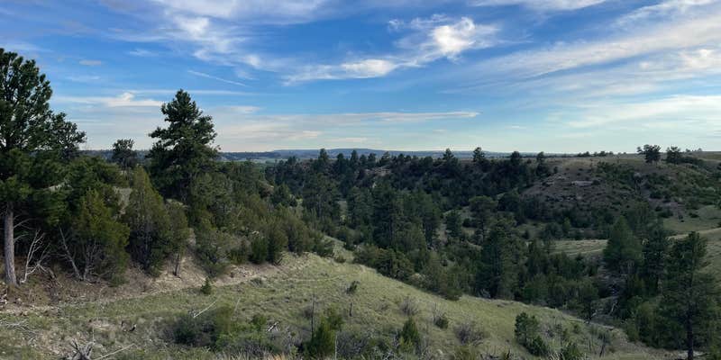 Camper submitted image from Custer BLM