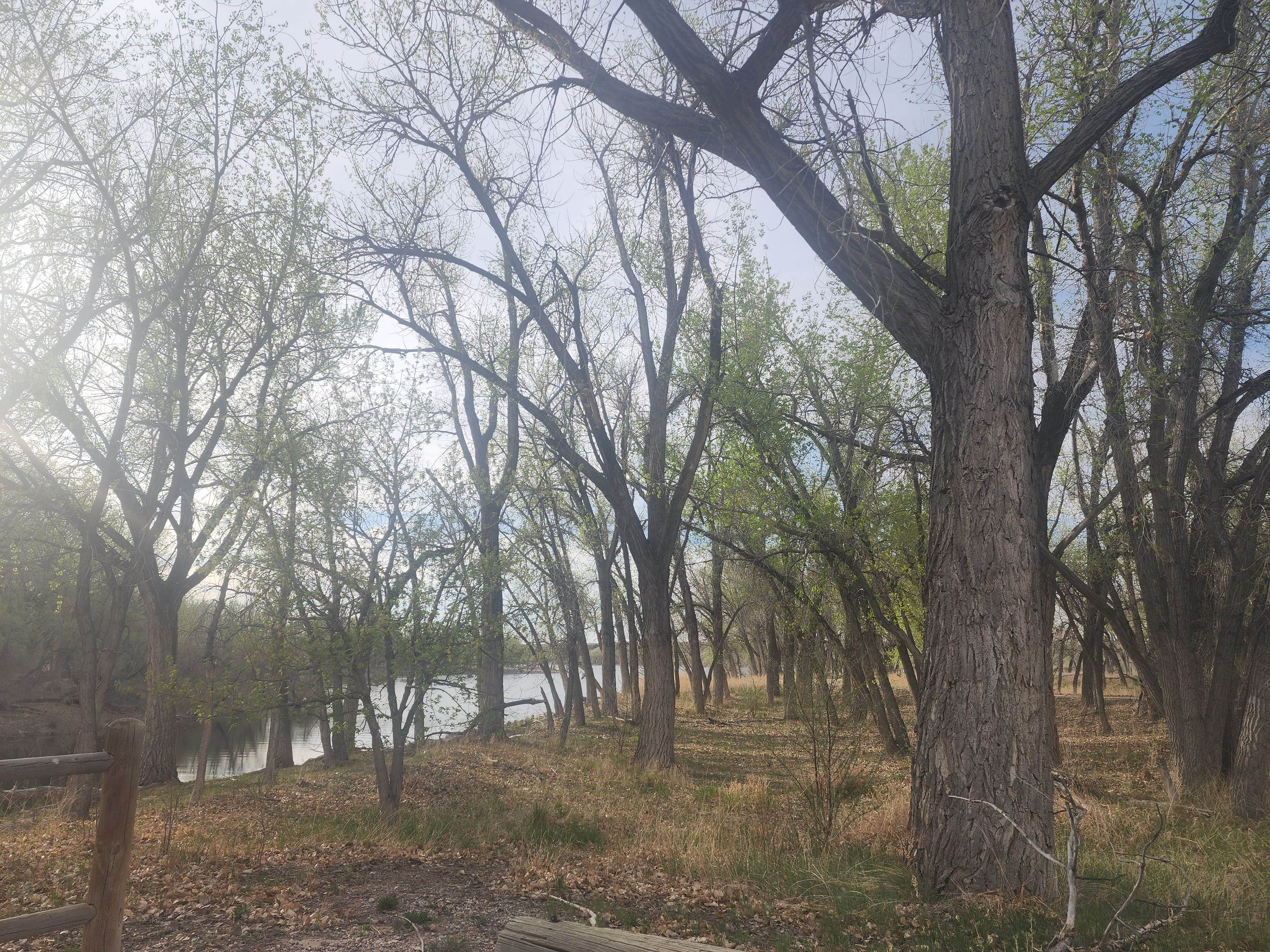 Camper-submitted photo at Custer Cove — Glendo State Park near Hartville, WY