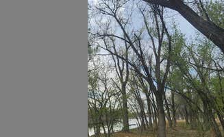 Paula B.'s photo of camping with pets at Custer Cove — Glendo State Park near Hartville, WY
