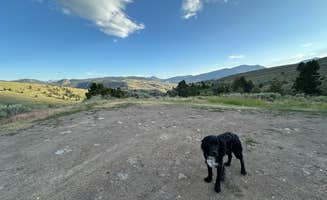 Bruce S.'s photo of camping with pets at Custer-Gallatin National Forest Dispersed Camping near Custer Gallatin National Forest