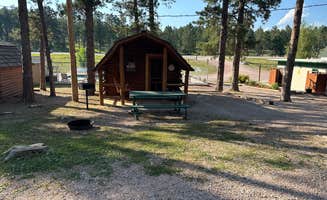 James P.'s photo of a cabin at Custer-Mt. Rushmore KOA near Newcastle, WY