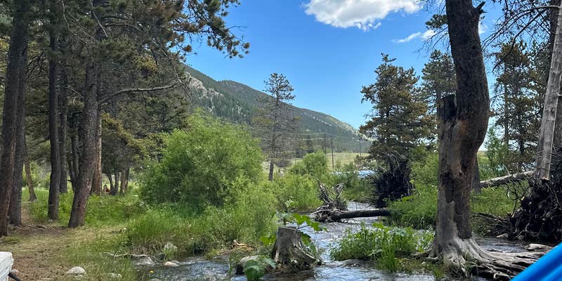 Camper submitted image from Pine Grove Campground