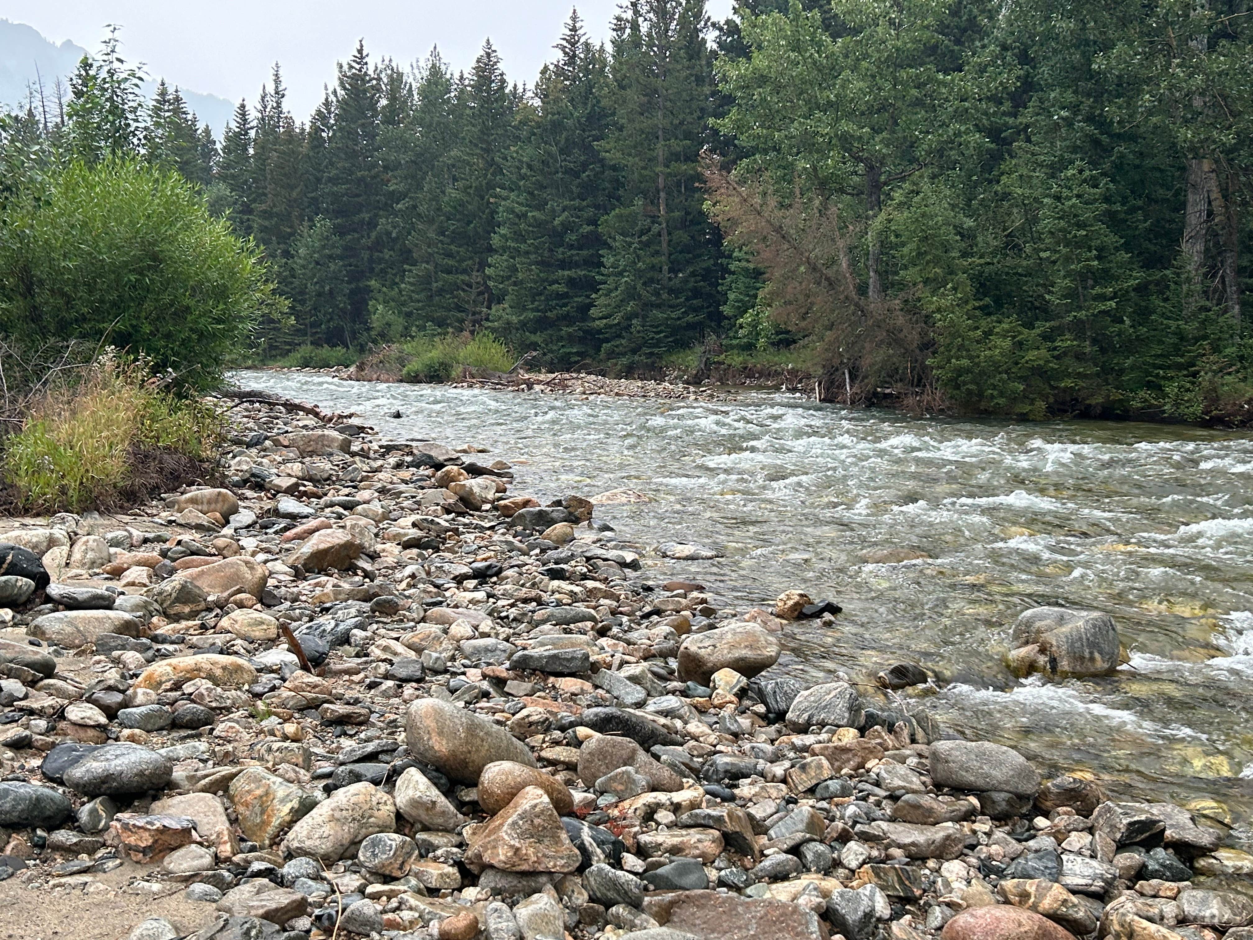 Camper submitted image from Custer National Forest Rattin Campground - 2