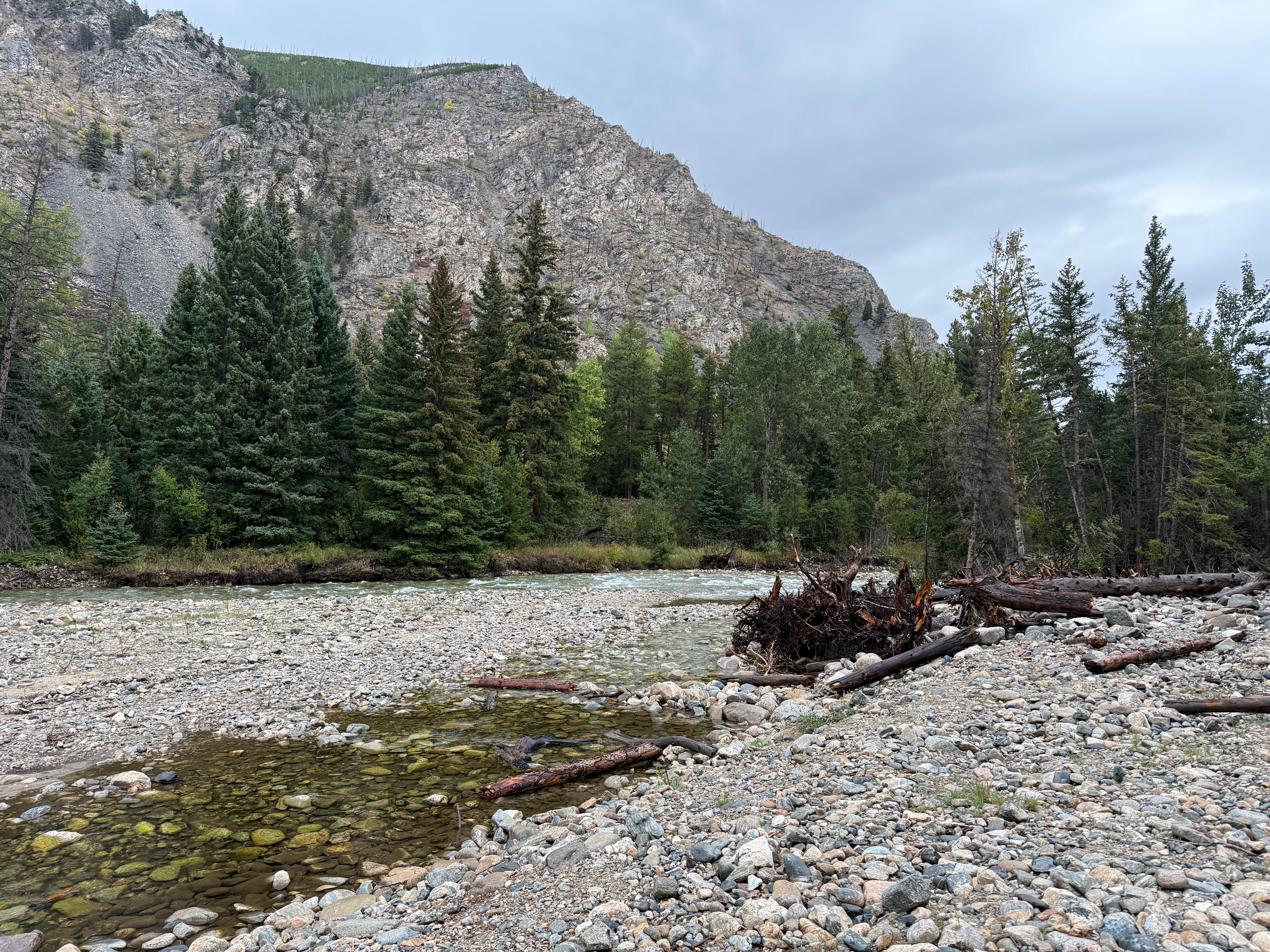 Camper-submitted photo at Custer National Forest Rattin Campground near Red Lodge, MT