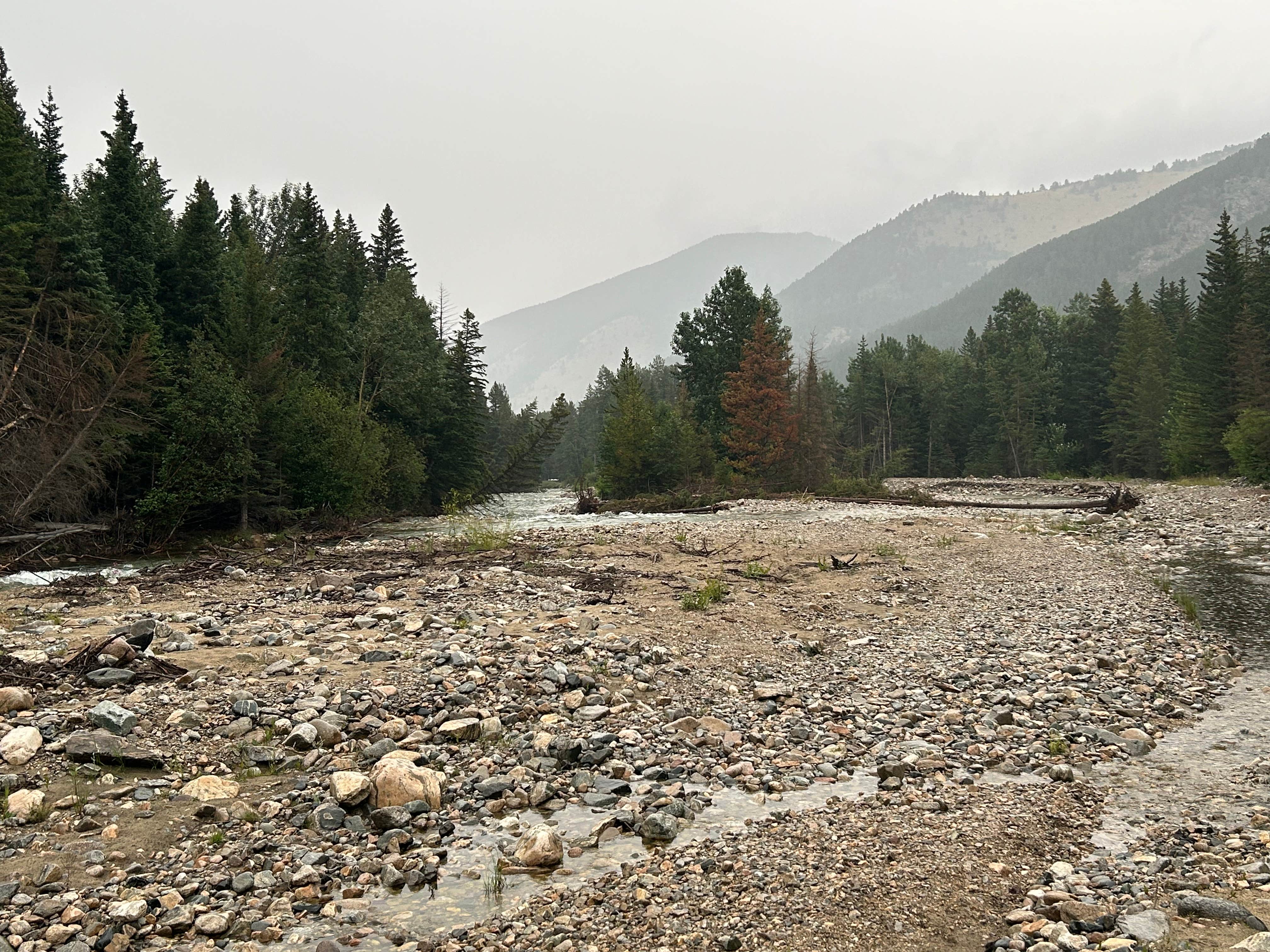 Camper submitted image from Custer National Forest Rattin Campground - 3