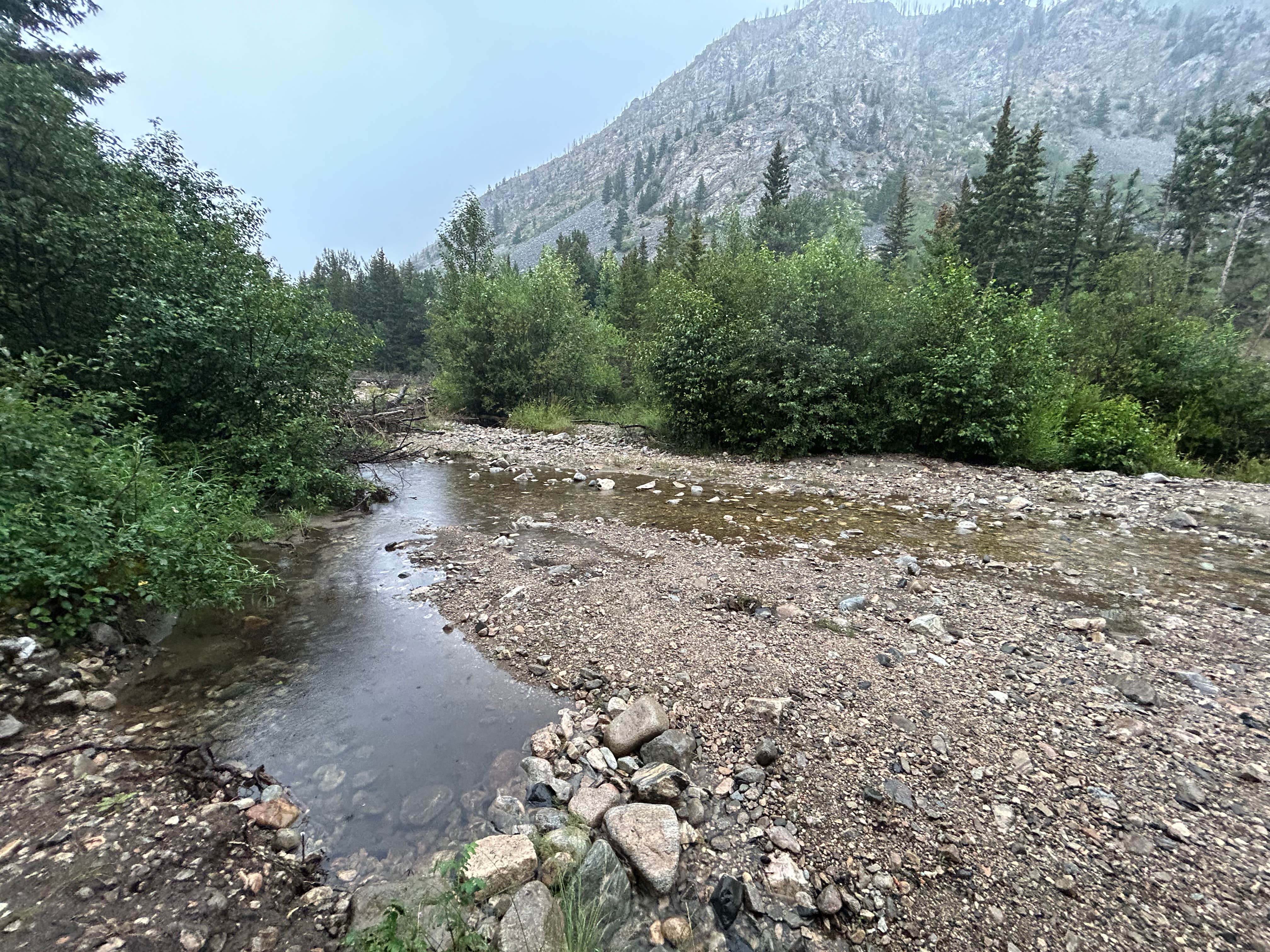 Camper submitted image from Custer National Forest Rattin Campground - 4