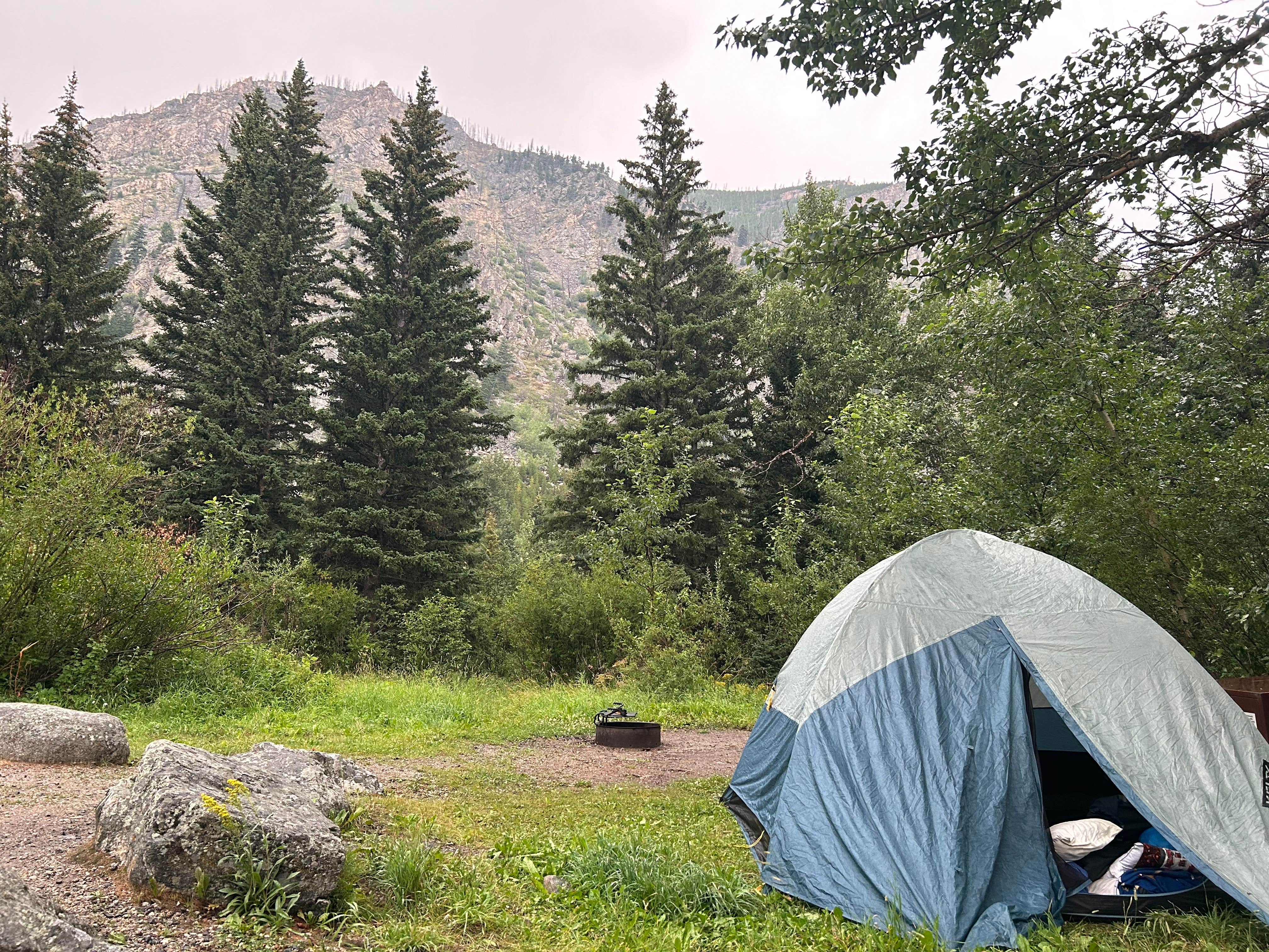 Camper submitted image from Custer National Forest Rattin Campground - 1