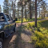 Review photo of Custer National Forest by Glenn B., June 29, 2026