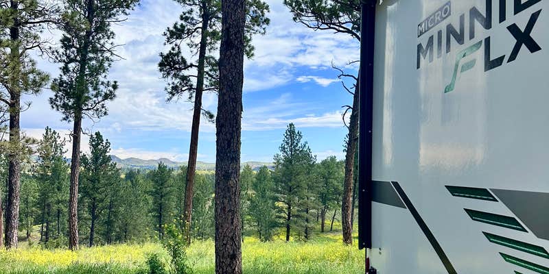 Camper submitted image from Custer National Forest