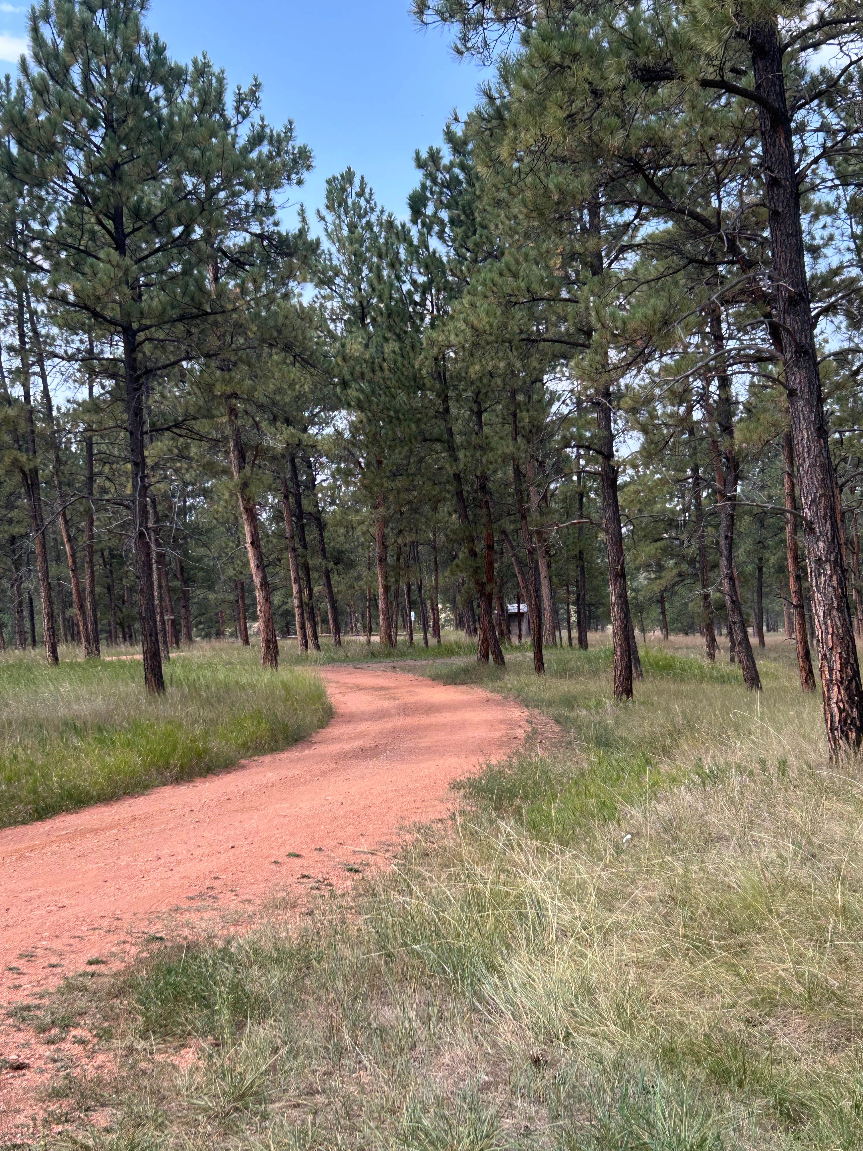 Camper-submitted photo at Custer National Forest near Custer National Forest