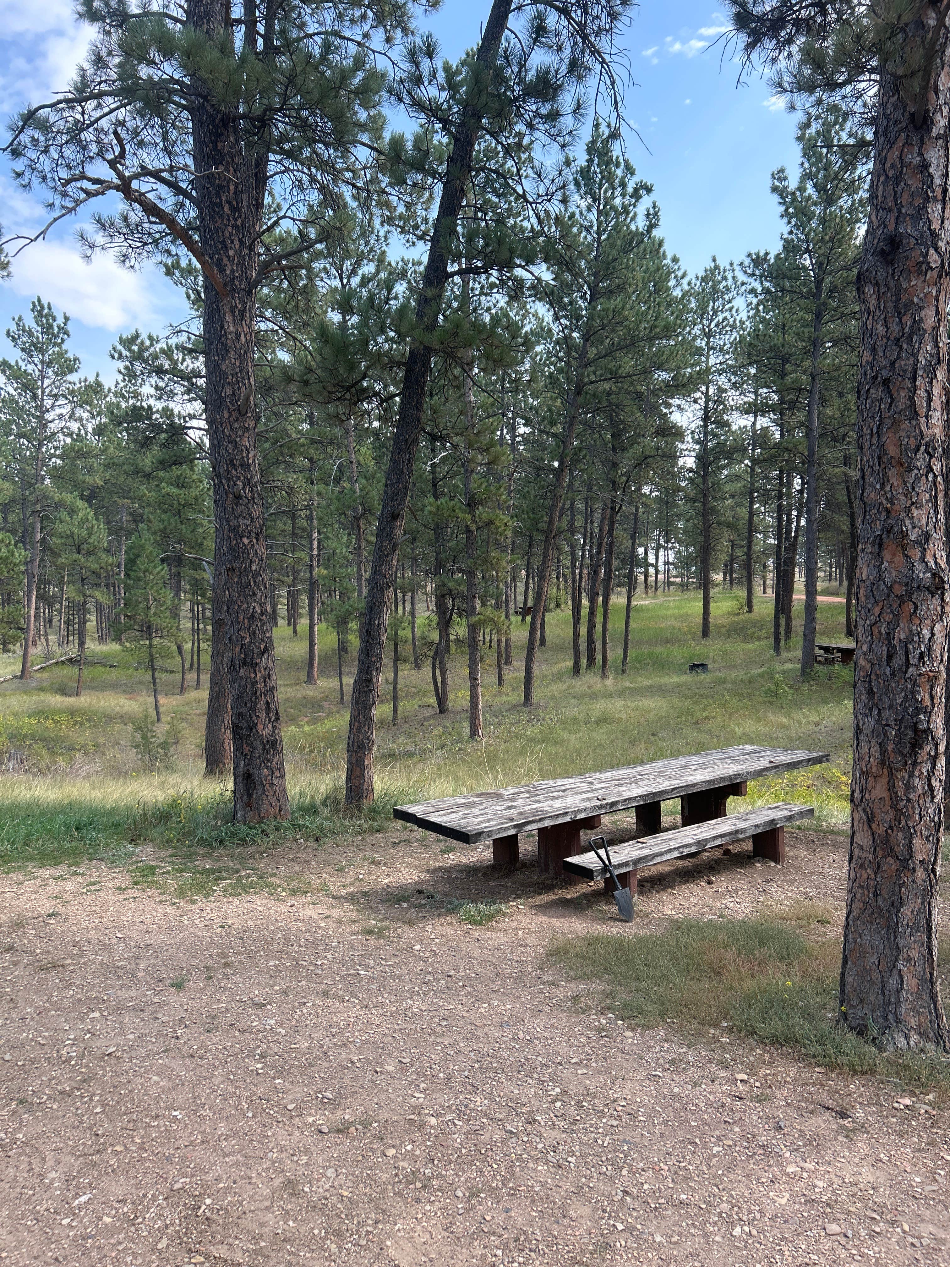 Camper submitted image from Custer National Forest - 1