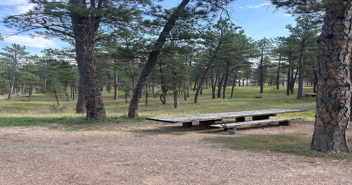 Custer National Forest Camping | Colstrip, Montana