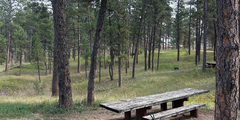 Camper submitted image from Custer National Forest