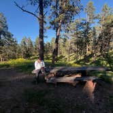 Review photo of Custer National Forest by Tyler S., June 29, 2026