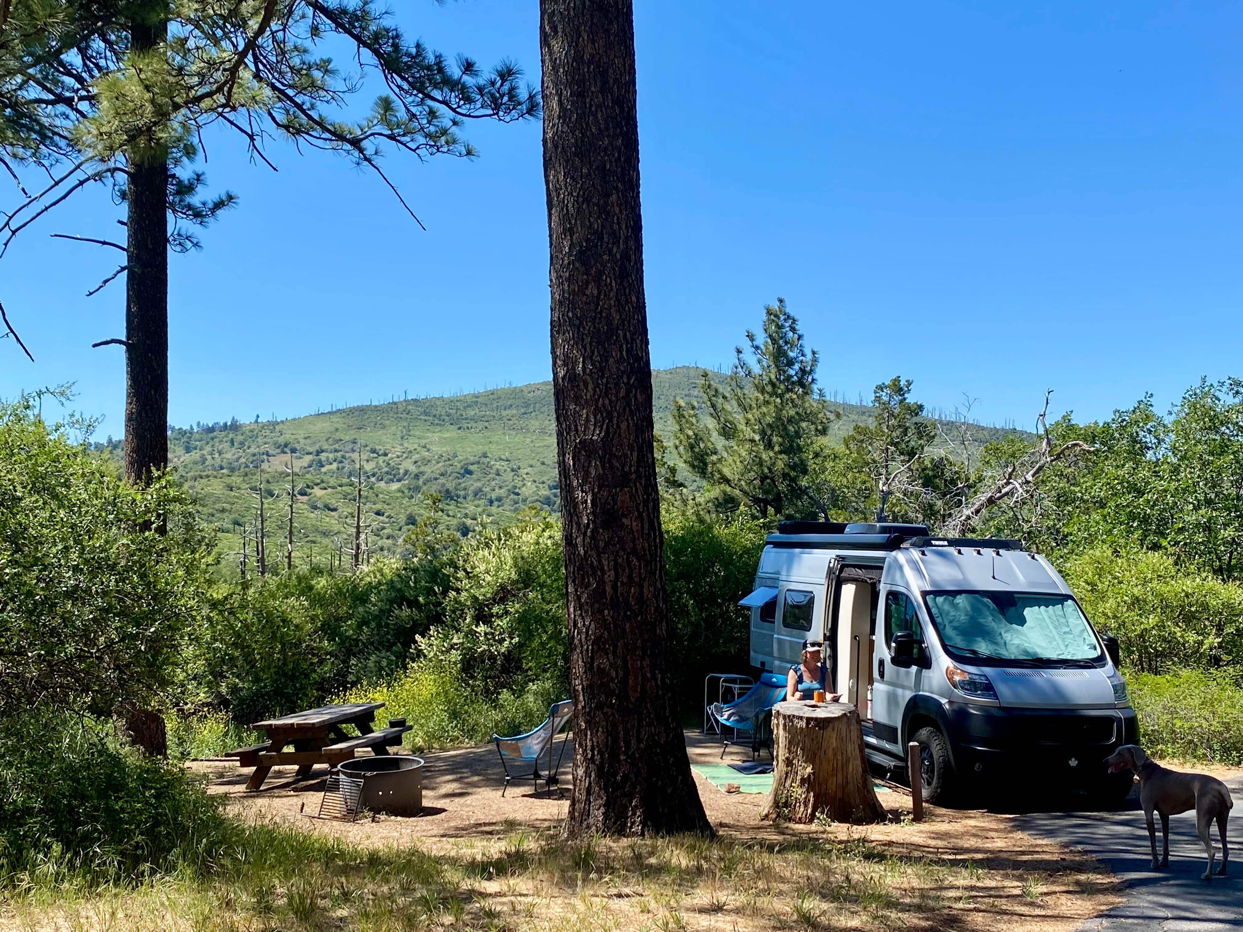 Julie F.'s photo of camping with pets at Paso Picacho Campground — Cuyamaca Rancho State Park near Julian, CA