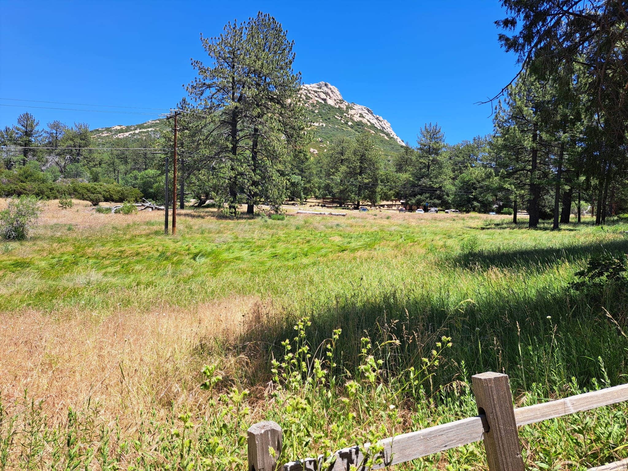 Camping near Paso Picacho Campground — Cuyamaca Rancho State Park: Green Valley Horse Camp — Cuyamaca Rancho State Park, Descanso, California