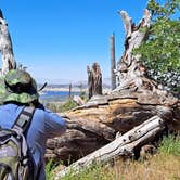 Review photo of Green Valley Horse Camp — Cuyamaca Rancho State Park by Julian M., March 7, 2024