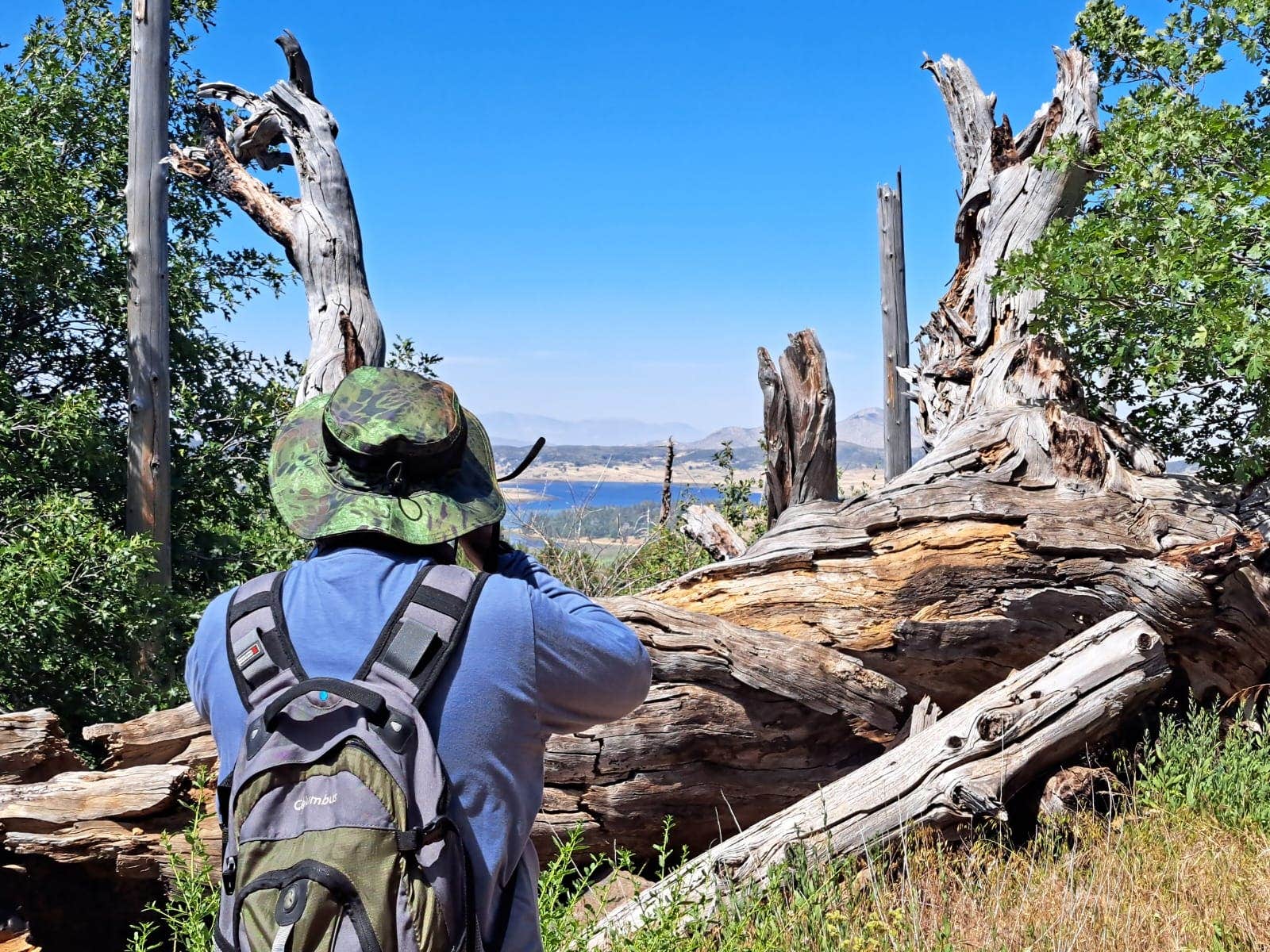 Camper submitted image from Green Valley Horse Camp — Cuyamaca Rancho State Park - 2