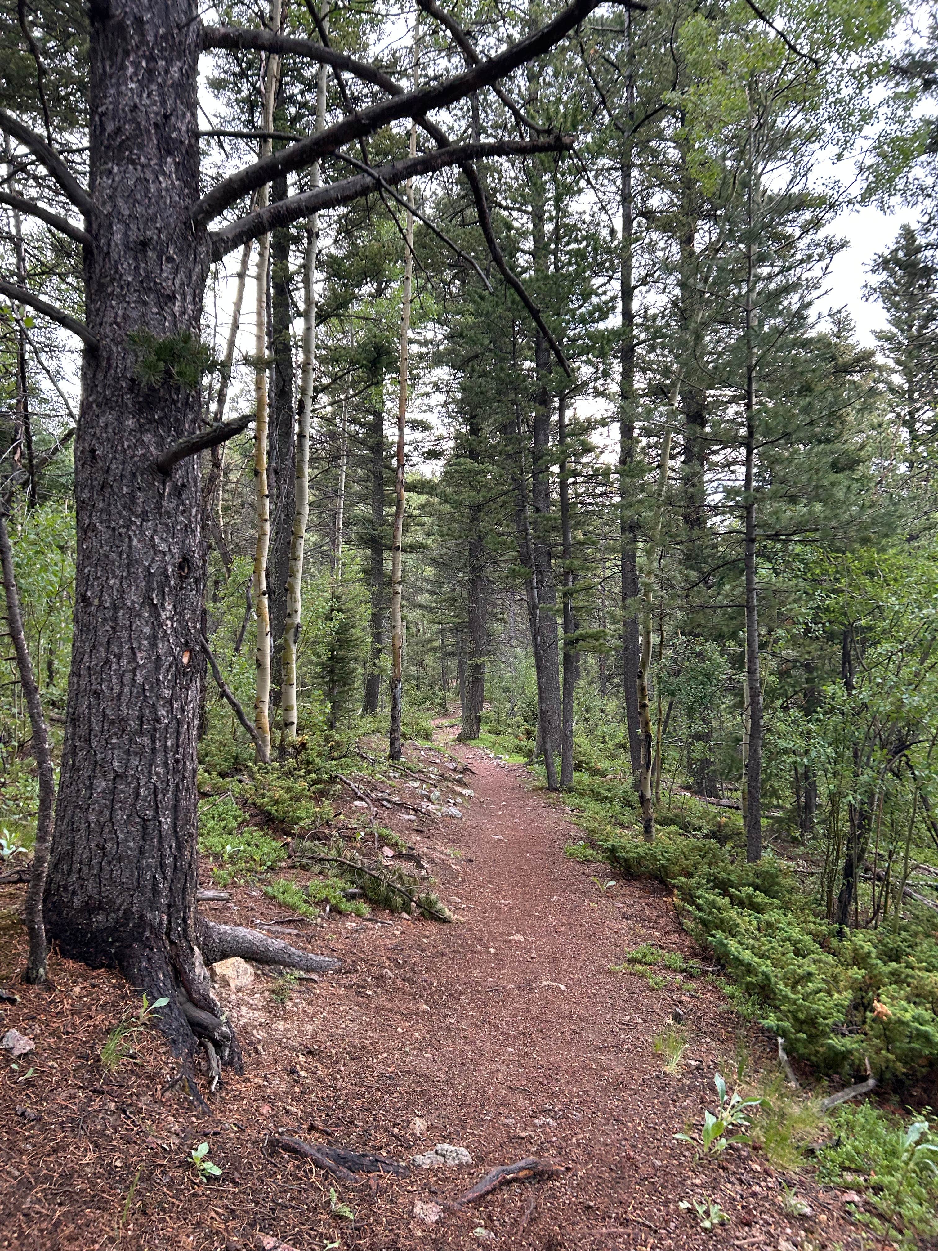 Camper submitted image from Cyphers Mine - 4