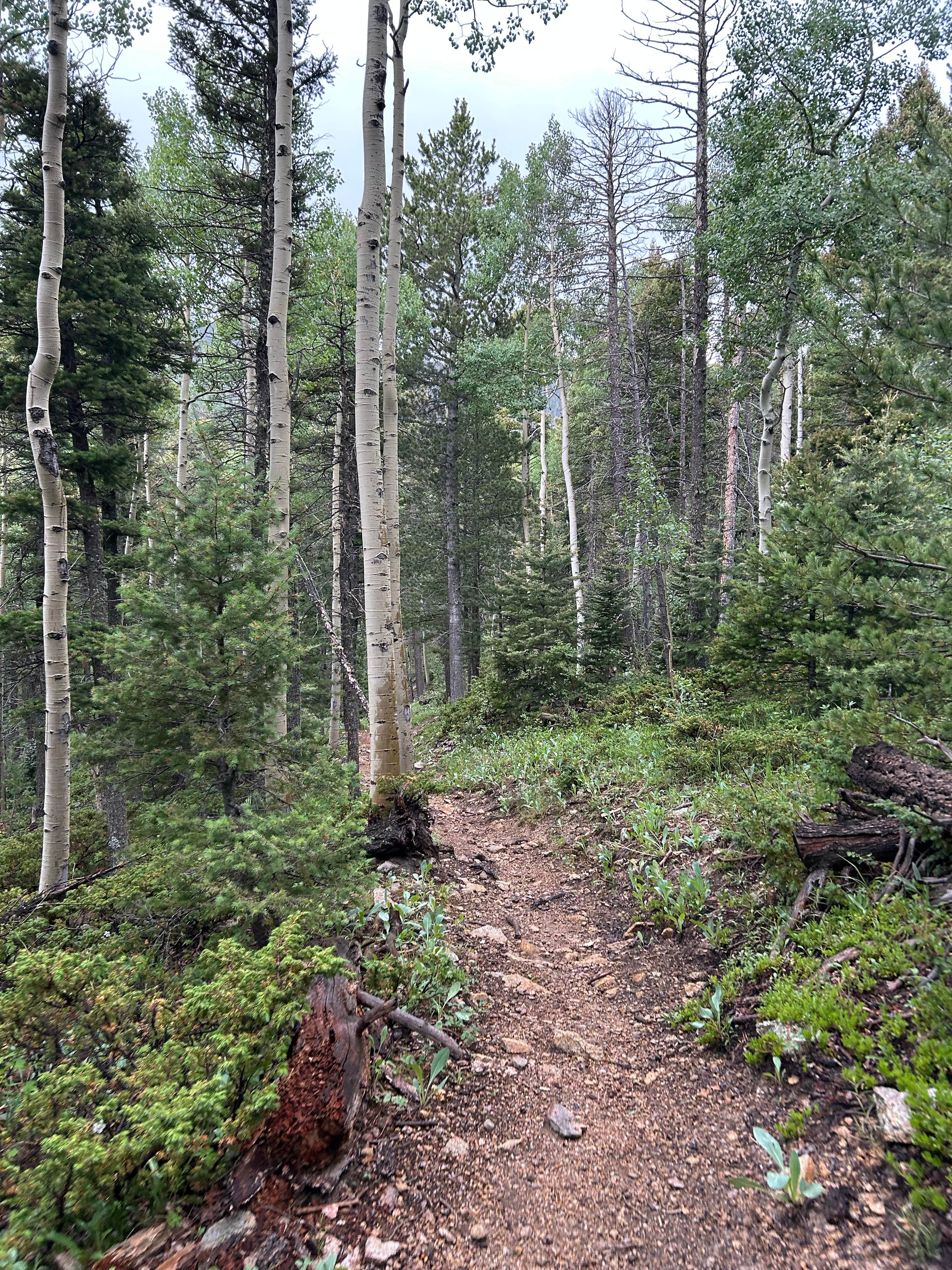 Camper-submitted photo at Cyphers Mine near Wagon Mound, NM