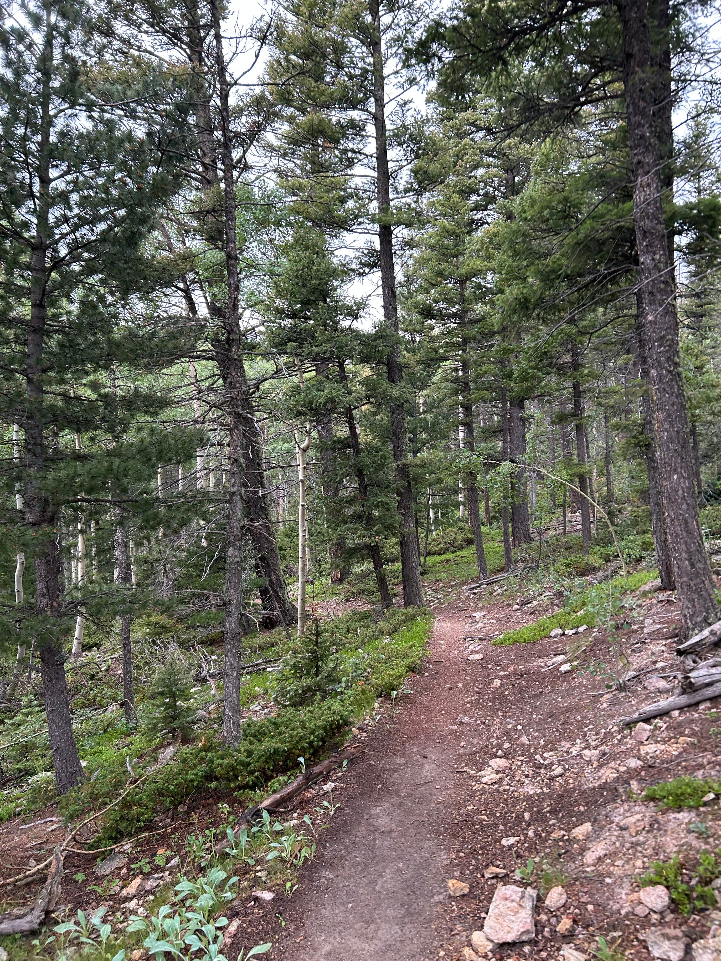 Camper submitted image from Cyphers Mine - 2