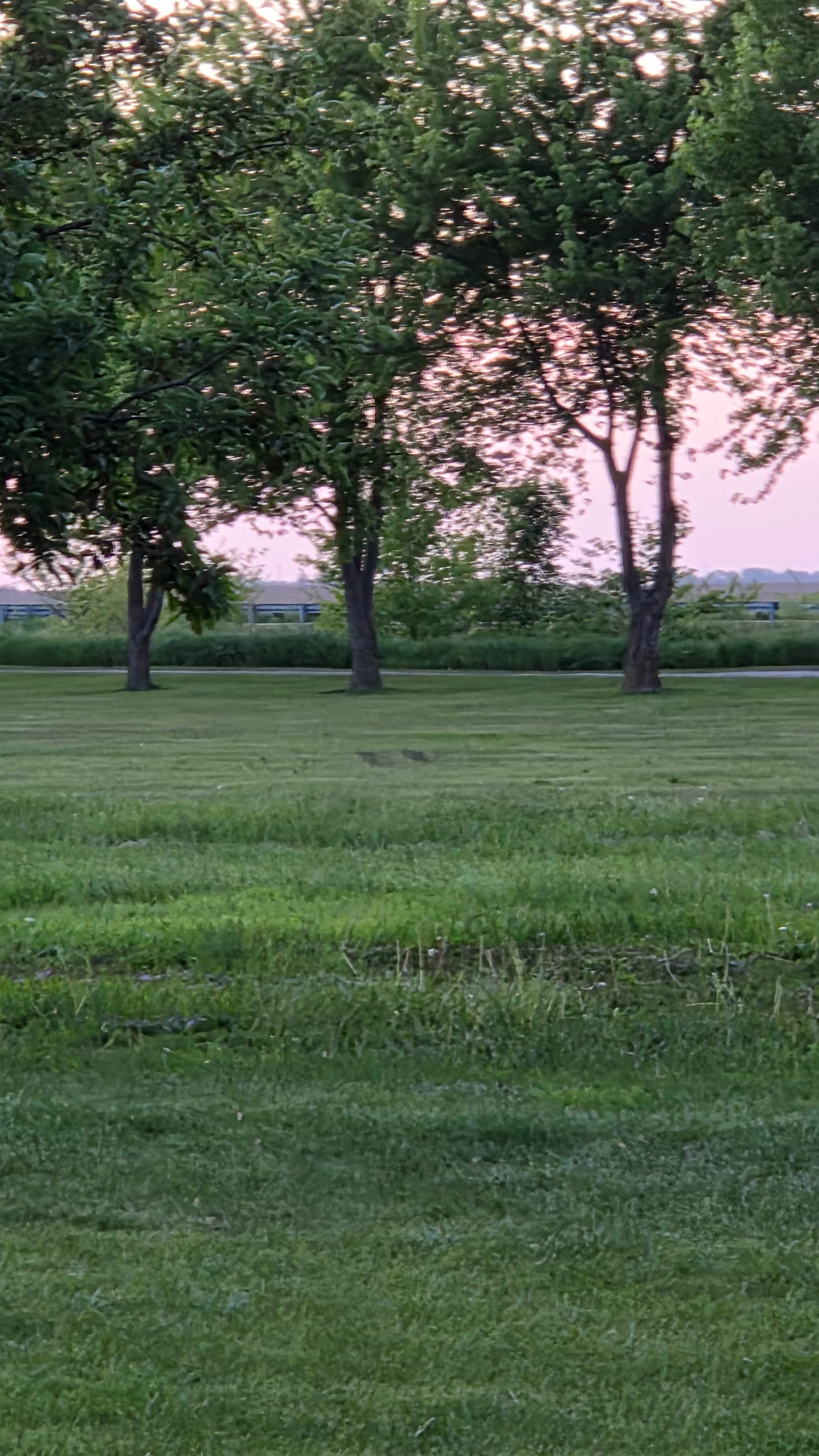 Camper-submitted photo at D & W Lake RV Park near Danville, IL