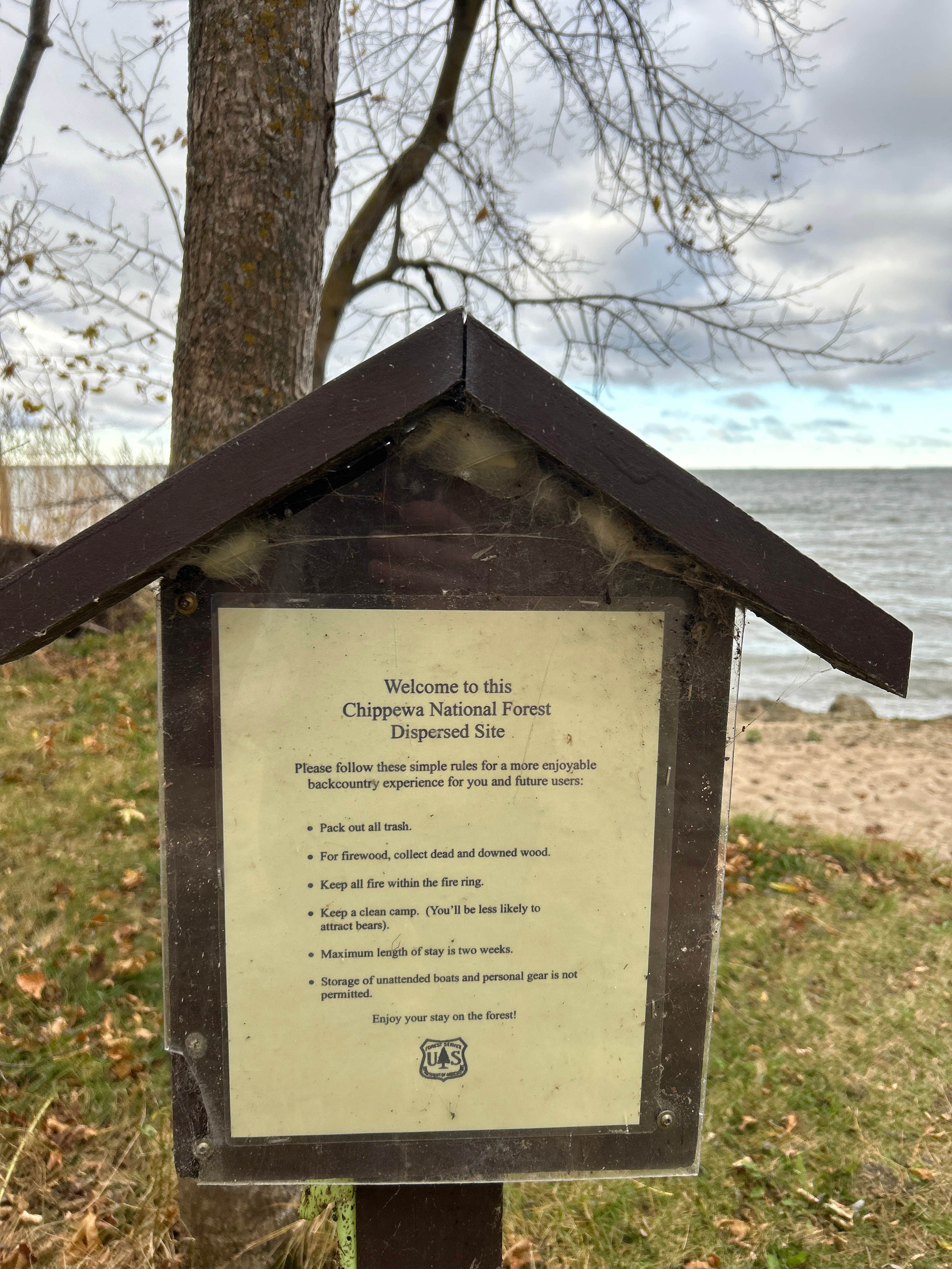 Camper submitted image from D29 dispersed site - 3